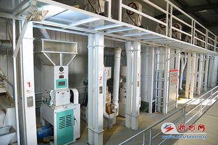 代縣雁門關(guān)鄉(xiāng)小雜糧加工廠建成投產(chǎn)