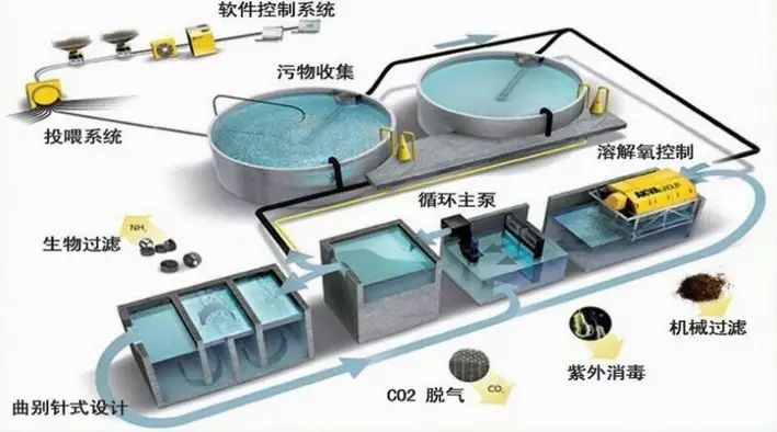 重磅!湖州市第一家國內(nèi)領(lǐng)先的工廠化循環(huán)水設(shè)施漁業(yè)養(yǎng)殖項目開工建設(shè)